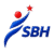 SkillBlend Logo
